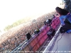 Live@Woodstock